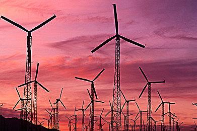 国产休闲肉鸽《皇上，上朝了》今日发售